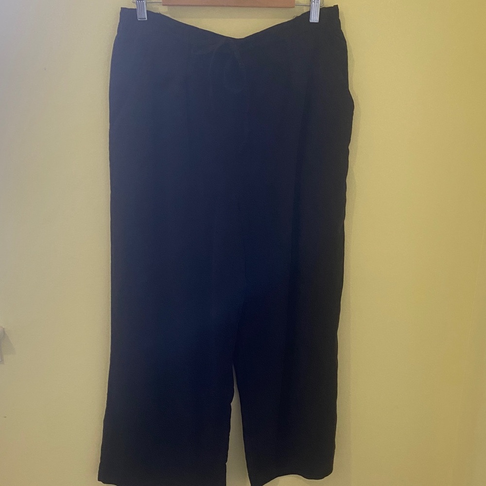 American Eagle Outfitters wide leg Pants